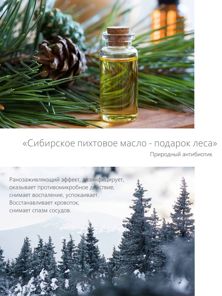 SALLIMI EM DEODORANT PINE Дезодорант-нейтрализатор запахов с ароматом сосны для салона авто, запасной блок